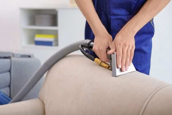 Dry cleaning worker removing dirt from sofa indoors